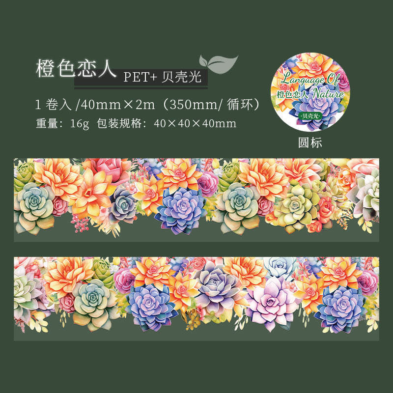 Journal PET tape (Plant) 2.8m/roll